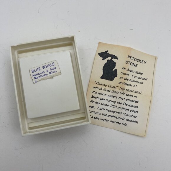 Vtg Petoskey Stone Butterfly Brooch Filigree Gold Tone Pin Box Michigan Fossil - Picture 8 of 10